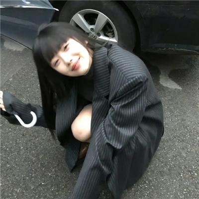 猫的闹剧