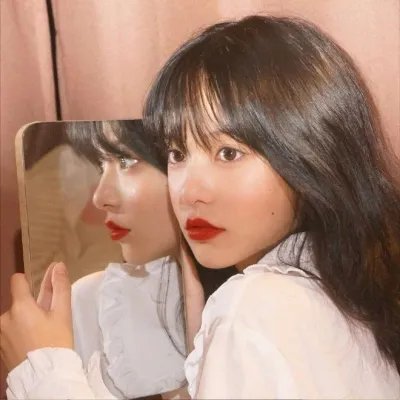勒克瑙之花